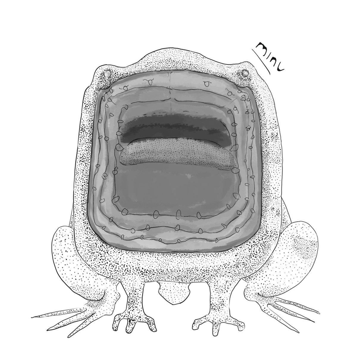 Minkusu3's tweet image. #frog