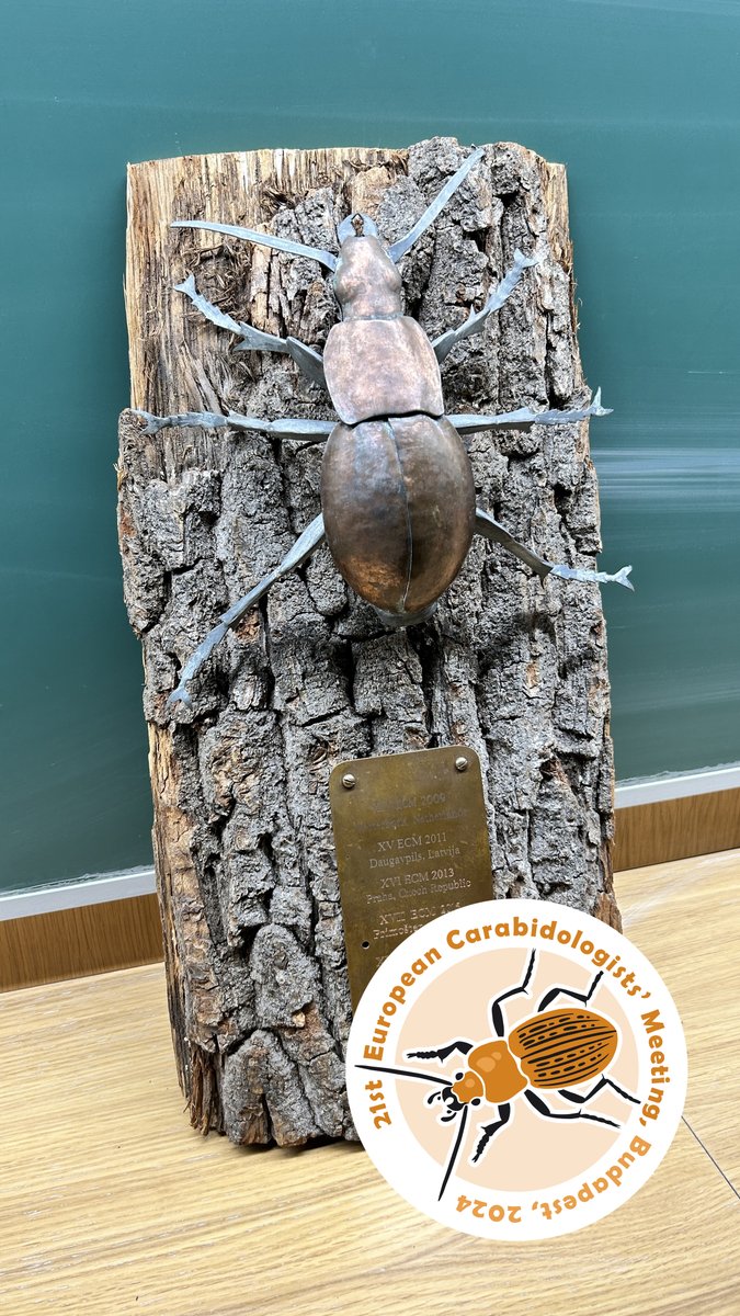 Do you miss the 21st ECM? 🪲
Visit the photo album with all the great moments: photos.app.goo.gl/HTwuwtLyxK3om8…