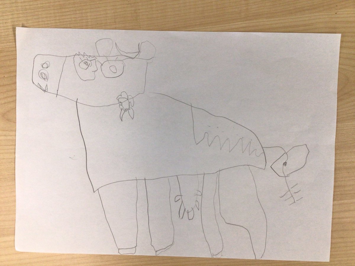 This week’s drawing lesson - The Fine Prize Cow!