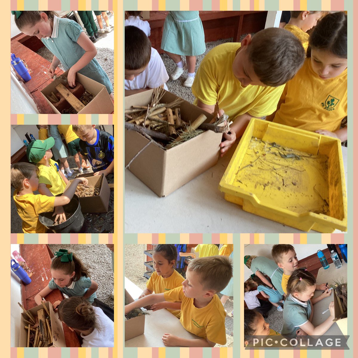 Some of our year 1 and year 2 children visited Everton Nature Garden again today.  We made bug houses, went on a bug hunt and then put all the bugs into their new homes. Thanks Adam and Izzy, we loved it! <a href="/fftliverpool/">Food For Thought Merseyside Ltd. (Not-For-Profit)</a>
