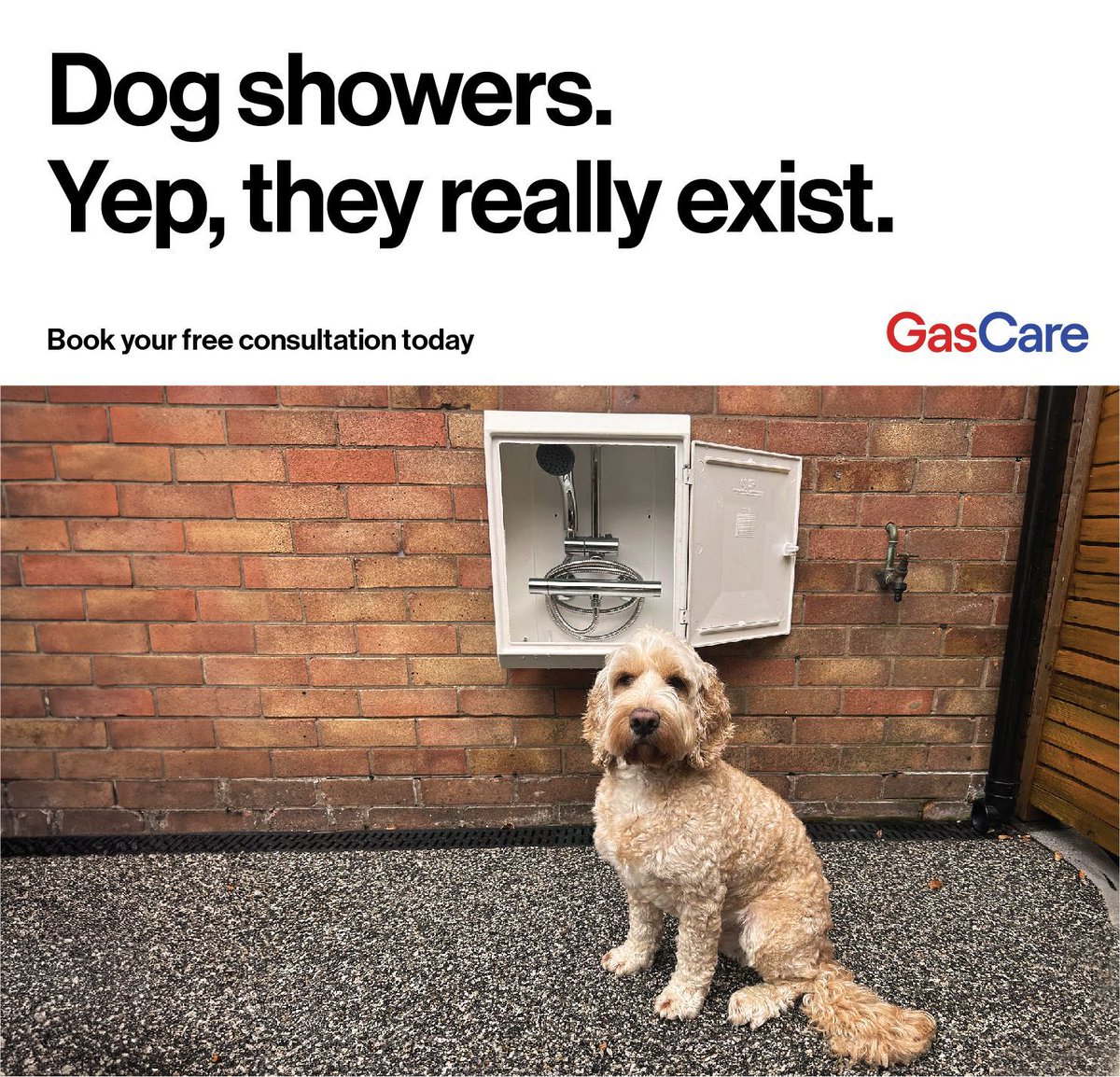 GasCareuk's tweet photo. In case you missed it: we recently launched Dog Shower - a fully fitted thermostatic shower, meaning you get hot and cold showers, in your garden!

DM us, or call 01457 868 040 now, for a free quote. https://t.co/rWbHOVmdPx