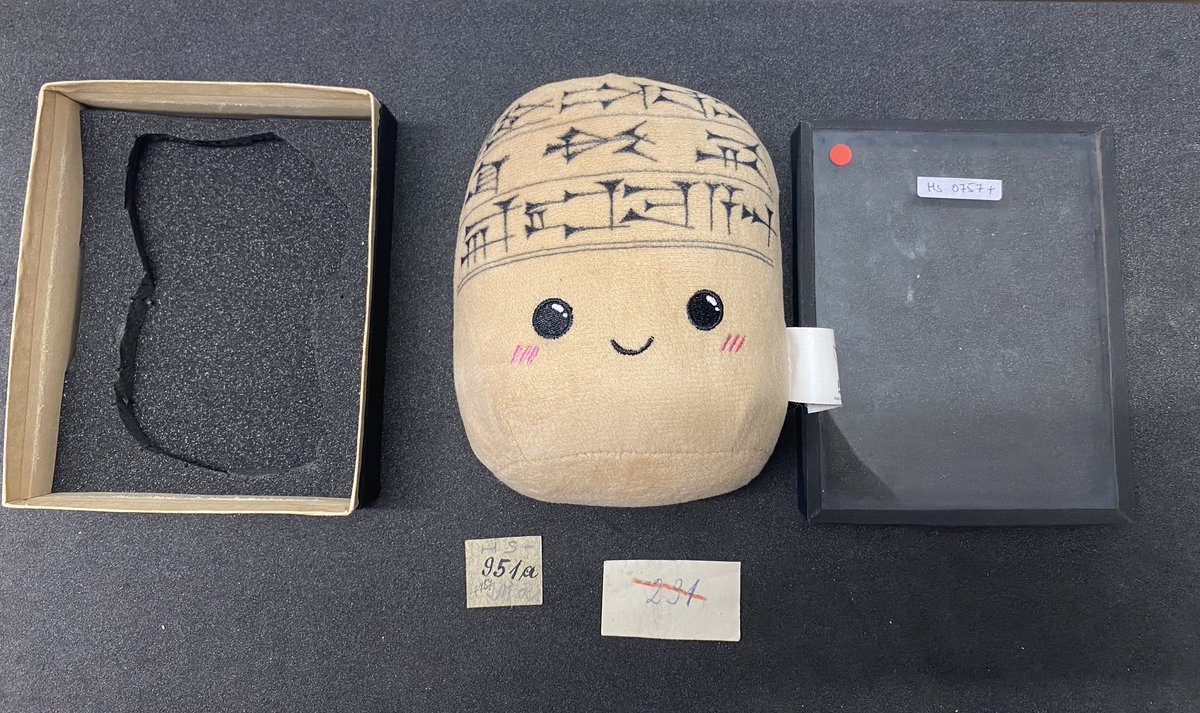 투피도 사진 한장 찰칵