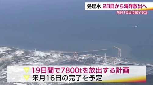 浪花慕情 tweet media