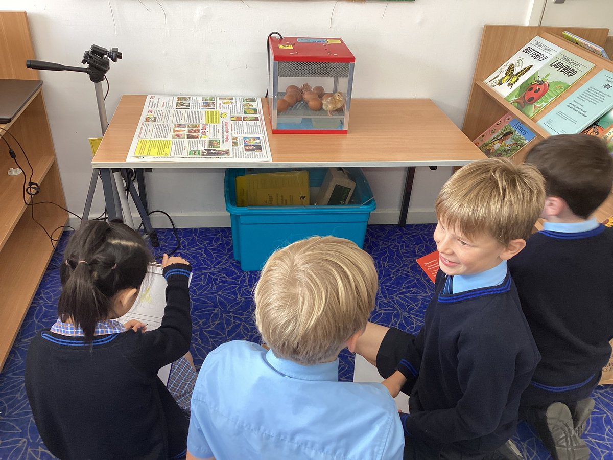 Exciting day for 2W <a href="/StMargaretsPrep/">St Margaret's Prep Calne</a>  - a chick has hatched! Hopefully 9 more to go… #IgnitingInterests #StMargsScience