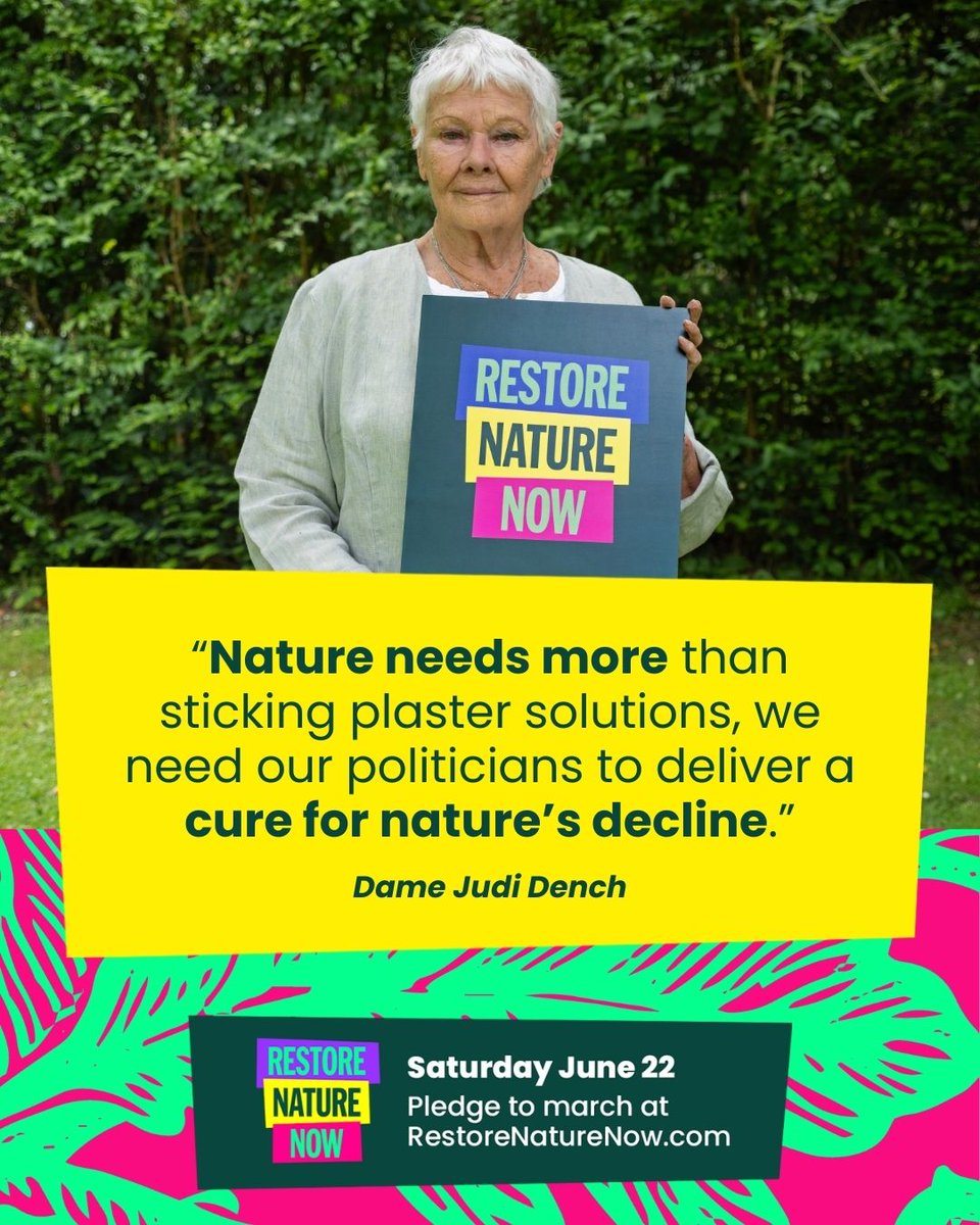 Dame Judi Dench is calling on politicians to deliver a cure for nature's decline📢 
 
She's calling on everyone to march for nature this Saturday in London - the biggest ever gathering for nature &amp; climate🌱 
 
Politicians #RestoreNatureNow 
Sign up👉 restorenaturenow.com