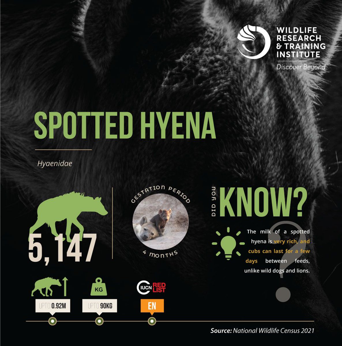 empiremike_'s tweet photo. The wildlife census is a powerful tool for conservationists to monitor species health and habitat conditions. Let's support this crucial initiative! #Count2Conserve24
National Wildlife Census
@WRTIKenya https://t.co/mhXpZDF27u