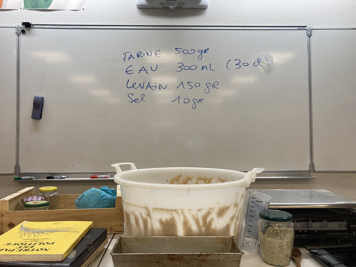 LaBarousse's tweet photo. Atelier « du grain au pain 🥖 » pour nos 4e Cordées de la réussite. Une belle expérience très inspirante #parcoursavenir #Peac @DSDEN65 https://t.co/1xv9fhWcER