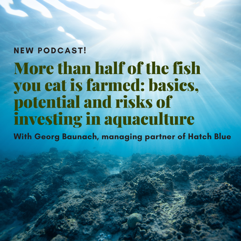 Koen van Seijen (@koenvanseijen) on Twitter photo The first episode of the Regenerative #Aquaculture series is out with Georg Baunach of <a href="/hatchblue1/">Hatch Blue</a> exploring basics, risks and potentials of aquaculture, the feed conversion ratio, the role of #algae, #waste, medicines, #microplastics, and more. investinginregenerativeagriculture.com/georg-baunach/ The first episode of the Regenerative #Aquaculture series is out with Georg Baunach of <a href="/hatchblue1/">Hatch Blue</a> exploring basics, risks and potentials of aquaculture, the feed conversion ratio, the role of #algae, #waste, medicines, #microplastics, and more. investinginregenerativeagriculture.com/georg-baunach/