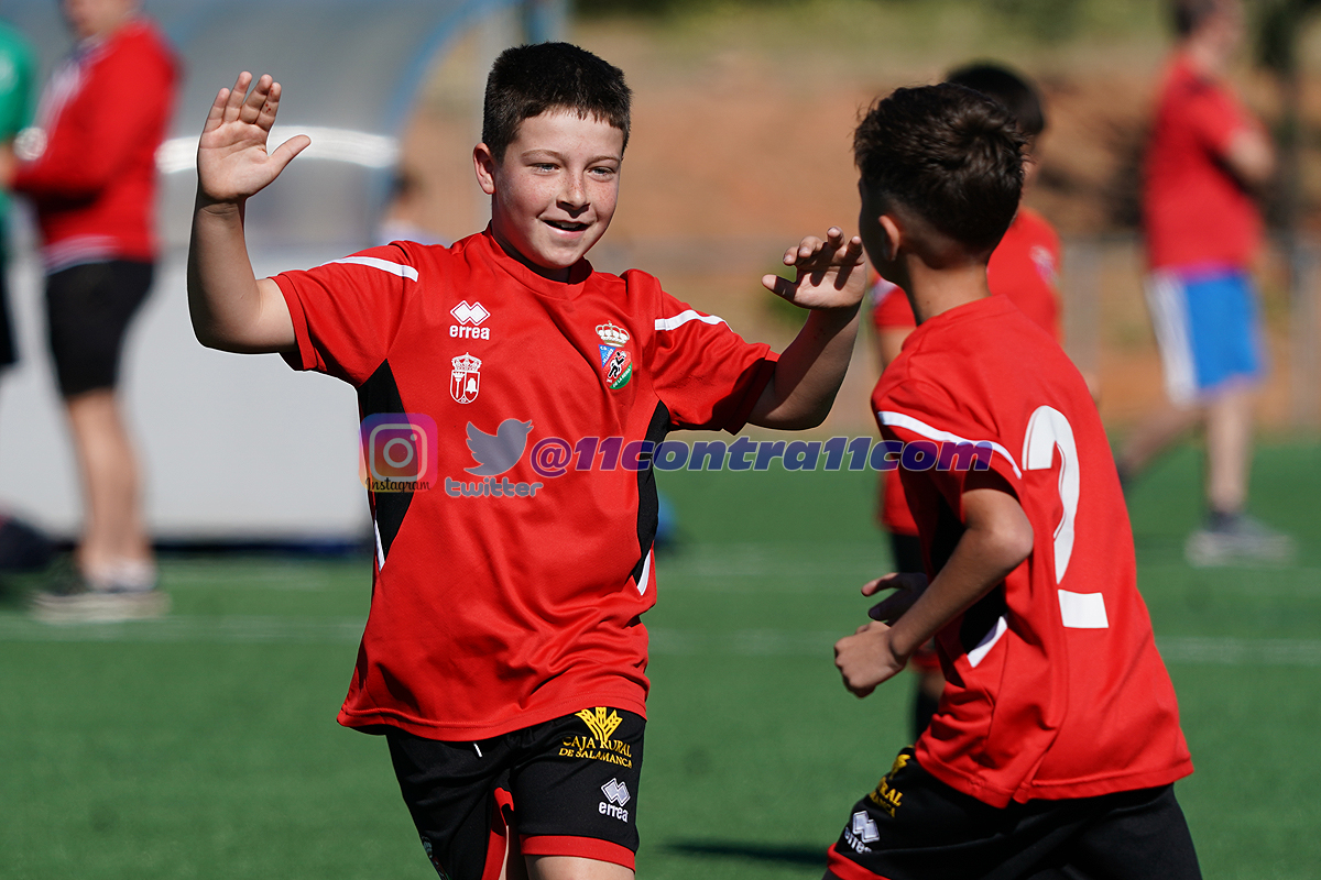 11contra11 tweet media