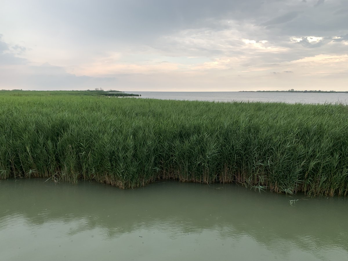 Member States are about to greenlight the introduction of new exemptions in the Water Framework Directive allowing them to pollute water more. Read more (in 🇫🇷) in <a href="/ContexteEnvi/">Contexte Environnement</a>👉  contexte.com/article/enviro…