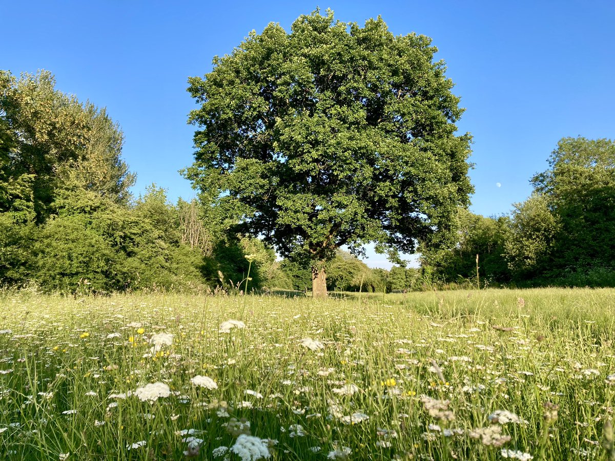 ben89661370's tweet image. Sunny day at last!