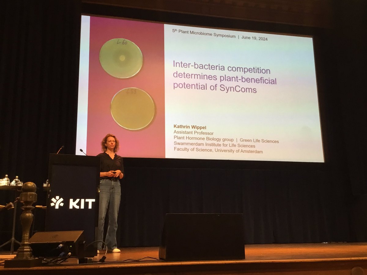 Kathrin Wippel <a href="/kathywippel/">Kathrin Wippel</a> on Intra-bacteria competition determines plant-beneficial potential of SynComs

Lotus and Arabidopsis and host preference; see their <a href="/NatureMicrobiol/">Nature Microbiology</a> (also mentioned yesterday): nature.com/articles/s4156…

#PMS2024