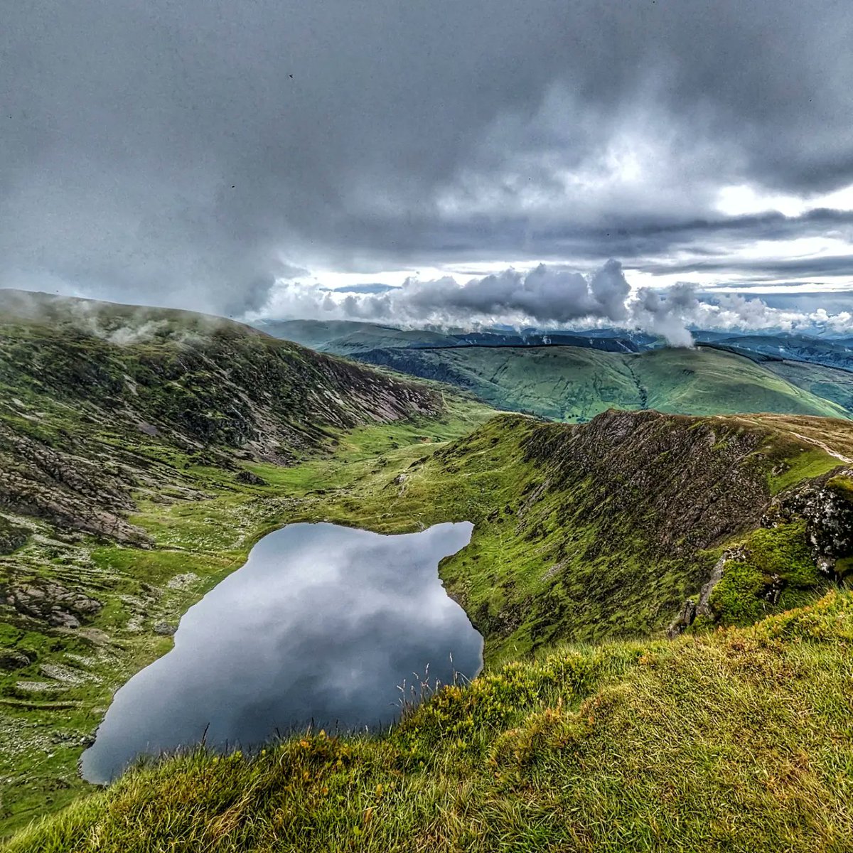 Chris Lewis tweet media