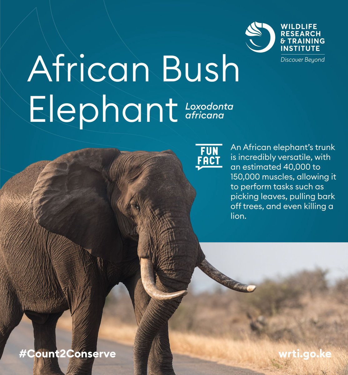 NaiBlogger's tweet photo. The census will provide a baseline for measuring the success of conservation initiatives over the next three years. National Wildlife Census #Count2Conserve24 https://t.co/jFBFwiJ5Zh