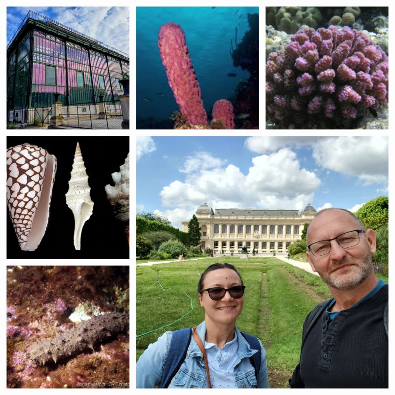 INRAE LutteBiologique (@inrae_lutte_bio) on Twitter photo Retour sur une semaine particulièrement studieuse <a href="/Le_Museum/">Muséum national d'Histoire naturelle</a> pour Ionela-Mădălina VICIRIUC (Post-doctorante <a href="/INRAE_DPT_SPE/">INRAE Santé des Plantes et Environnement</a>) et Nicolas RIS. Une semaine consacrée à la #Taxonomie Intégrative : (Méta-) Barcoding, NGS, délimitation d'espèces, etc.
Merci aux collègues @ISYEB_UMR ! Retour sur une semaine particulièrement studieuse <a href="/Le_Museum/">Muséum national d'Histoire naturelle</a> pour Ionela-Mădălina VICIRIUC (Post-doctorante <a href="/INRAE_DPT_SPE/">INRAE Santé des Plantes et Environnement</a>) et Nicolas RIS. Une semaine consacrée à la #Taxonomie Intégrative : (Méta-) Barcoding, NGS, délimitation d'espèces, etc.
Merci aux collègues @ISYEB_UMR !