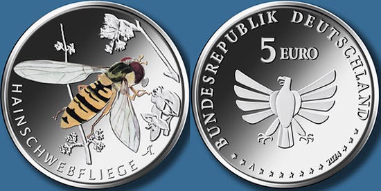 Germany 5 euro 2024 - Marmelade hoverfly (Episyrphus balteatus) dlvr.it/T8TD1d