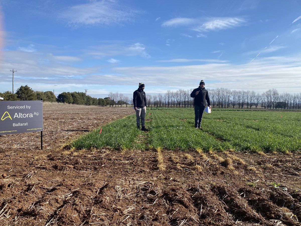 Altora Ag - Ballarat tweet media