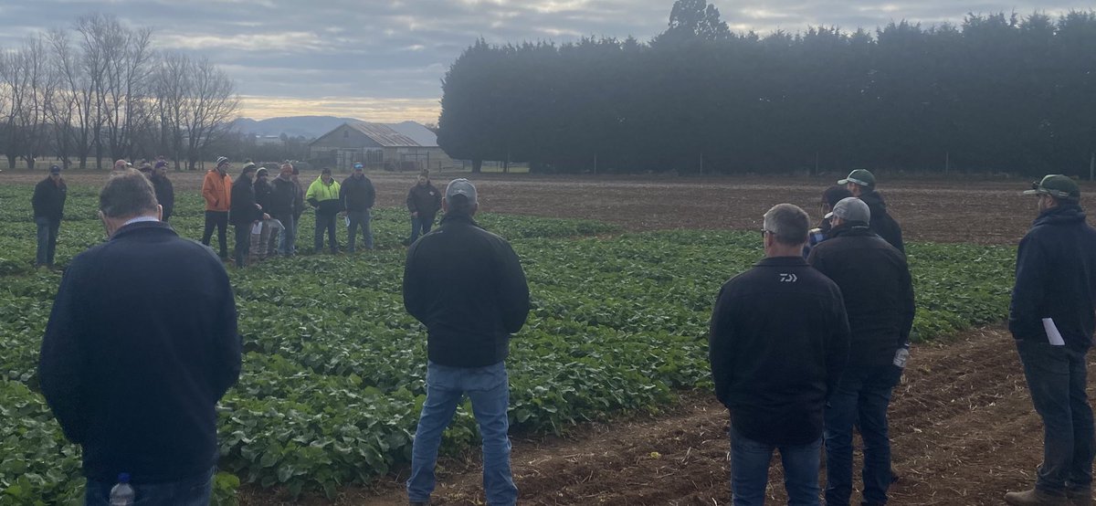 Frosty start to our first Altora Trail Site walk for the year. Nutrition, Herbicides, Biostimulants and Slug Bait trials were covered. Great discussion to finish, thanks for all involved.