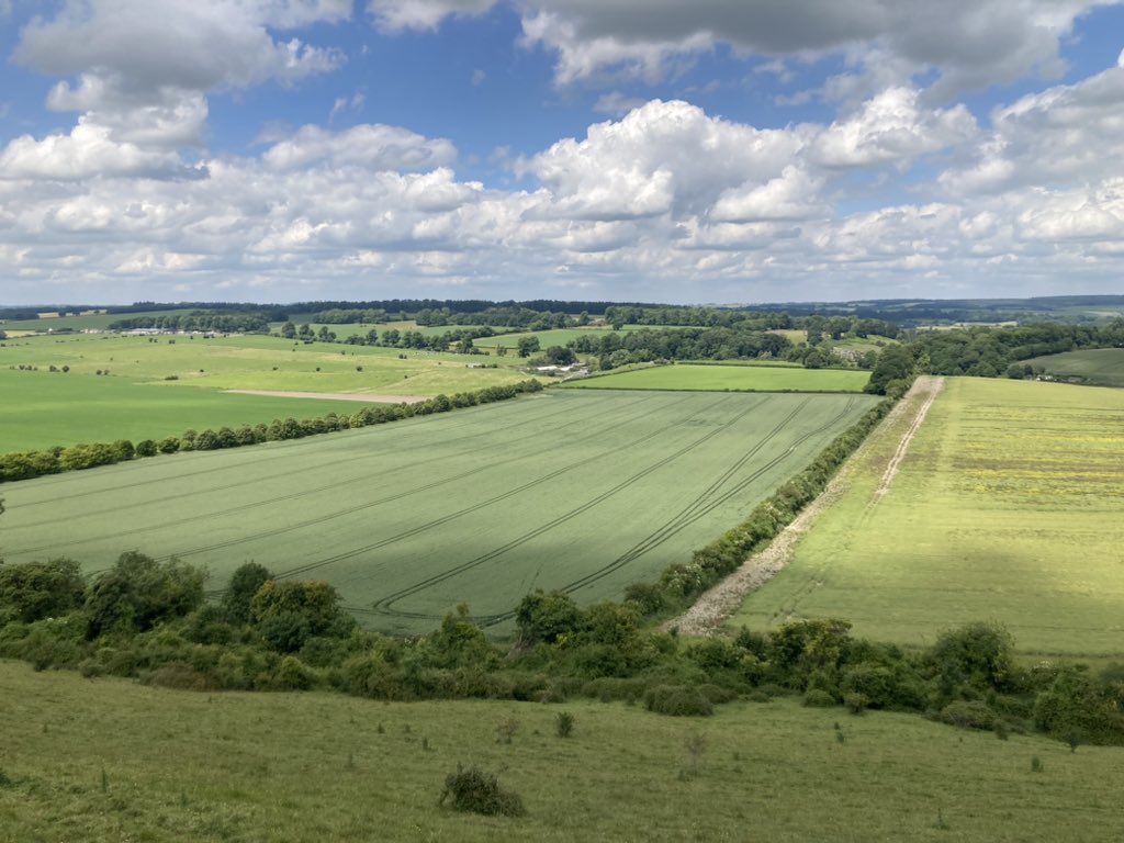 cereals_sw's tweet image. Yesterday we signed off at Salisbury monitor farm. Thanks to Ben Jeans for hosting us at such a beautiful and well run unit - but it’s not over… ABG (etc) continues. Class 😉 from Josh @ClaasWestern and thanks too @bofinfarmers & @yara @AHDB_Cereals