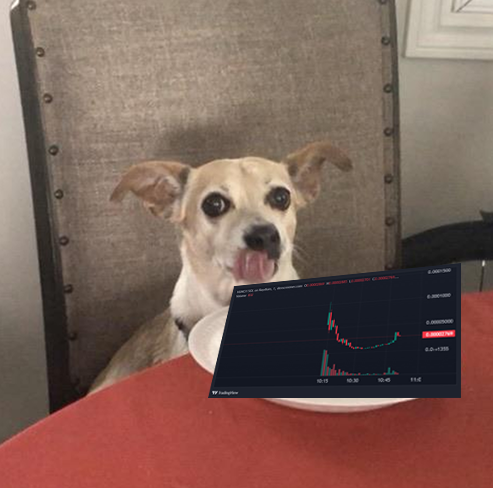 mccat100m's tweet photo. @cryptodondadda You $HUNGY too huh? https://t.co/7w6qOUzk1M