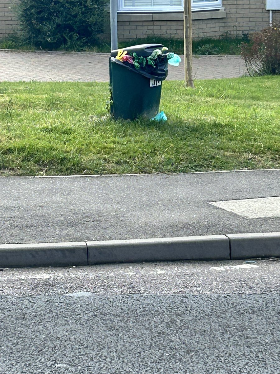 dunnydozer's tweet photo. @Essex_CC yet again a health hazard outside many houses in great Leigh’s full of dog waste. Ridiculous AGAIN https://t.co/IKqiwISu2N