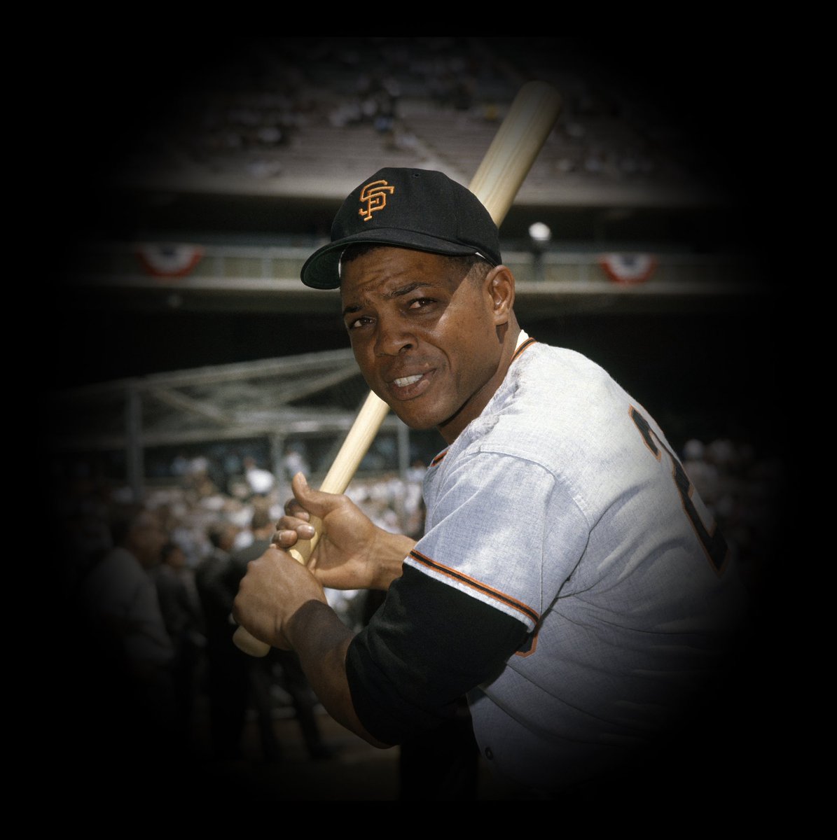 St. Louis Cardinals tweet media