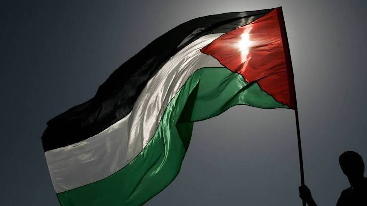 resources for palestine

~ a master 🧵