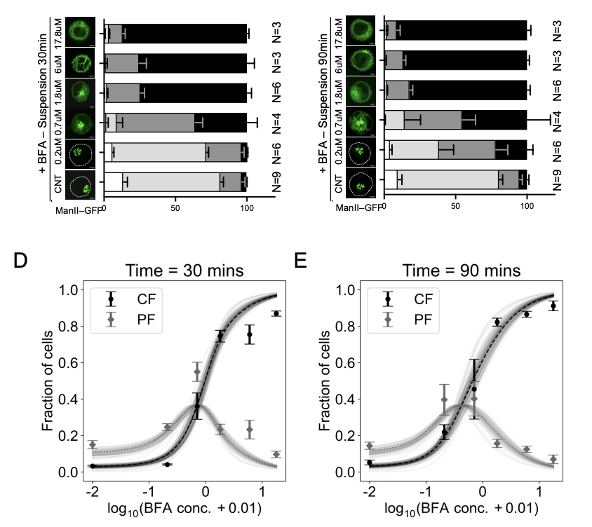 Nagaraj Balasubramanian tweet media