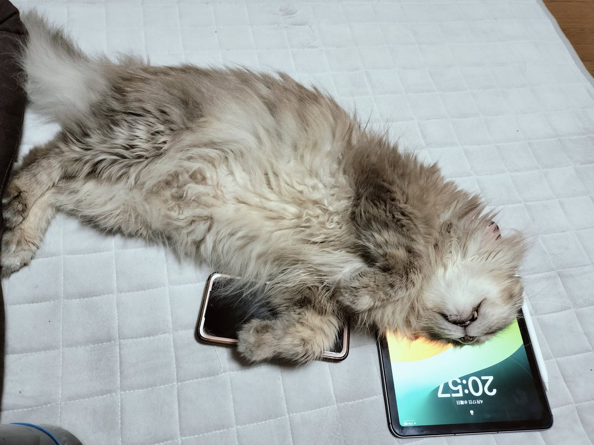 lococo2001 tweet picture