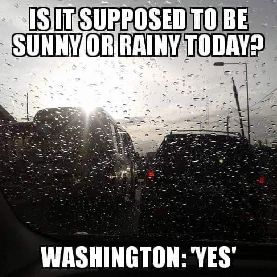 Zachary Vail tweet media