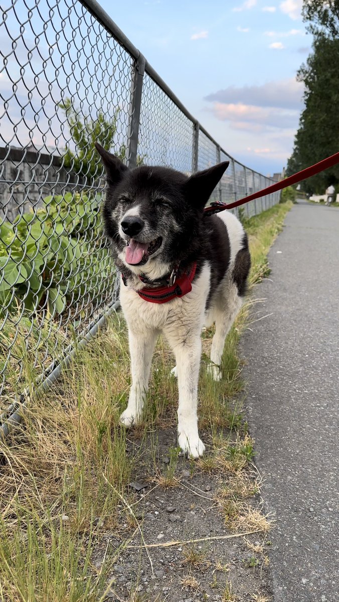 先週の帰省時の、ありえないくらい可愛いいきもの。