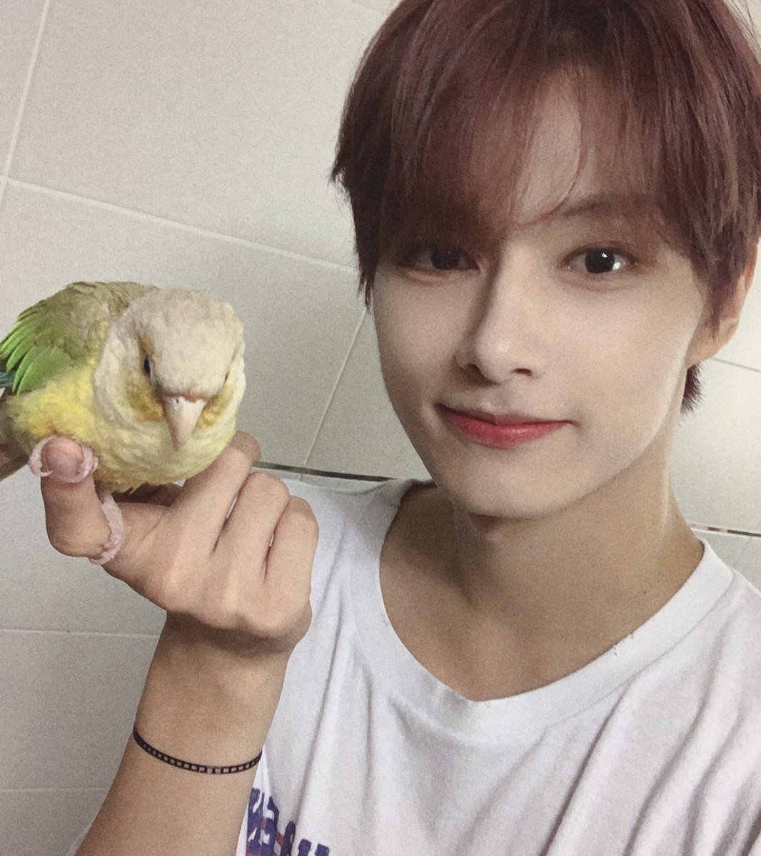 junhui with a tennis ball