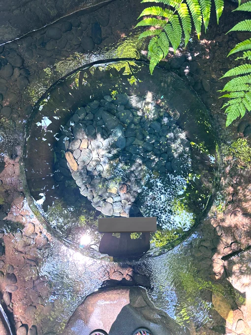 御守り授かり終えて、時間があったのでメランさんと共に初の明治神宮に行ってきたんだけど自然が凄すぎて境内入って目一杯マイナスイオンとパワー浴びれたので最高に気持ちよかった〜!今日晴れてて本当良かった〜 