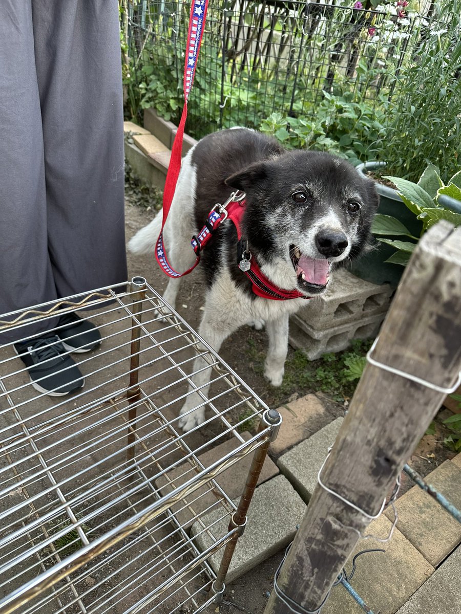 おさんぽ、いくのよ❗️