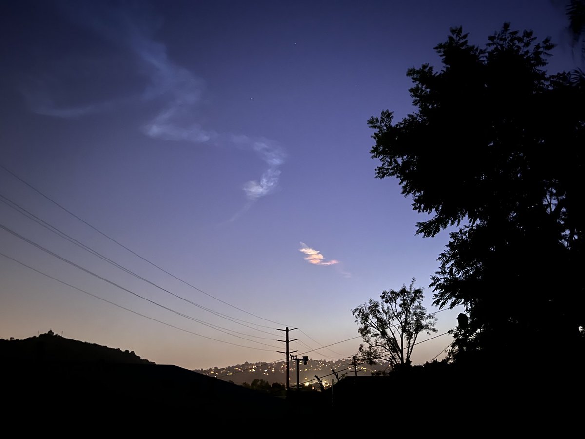 Delicious Tacos tweet media