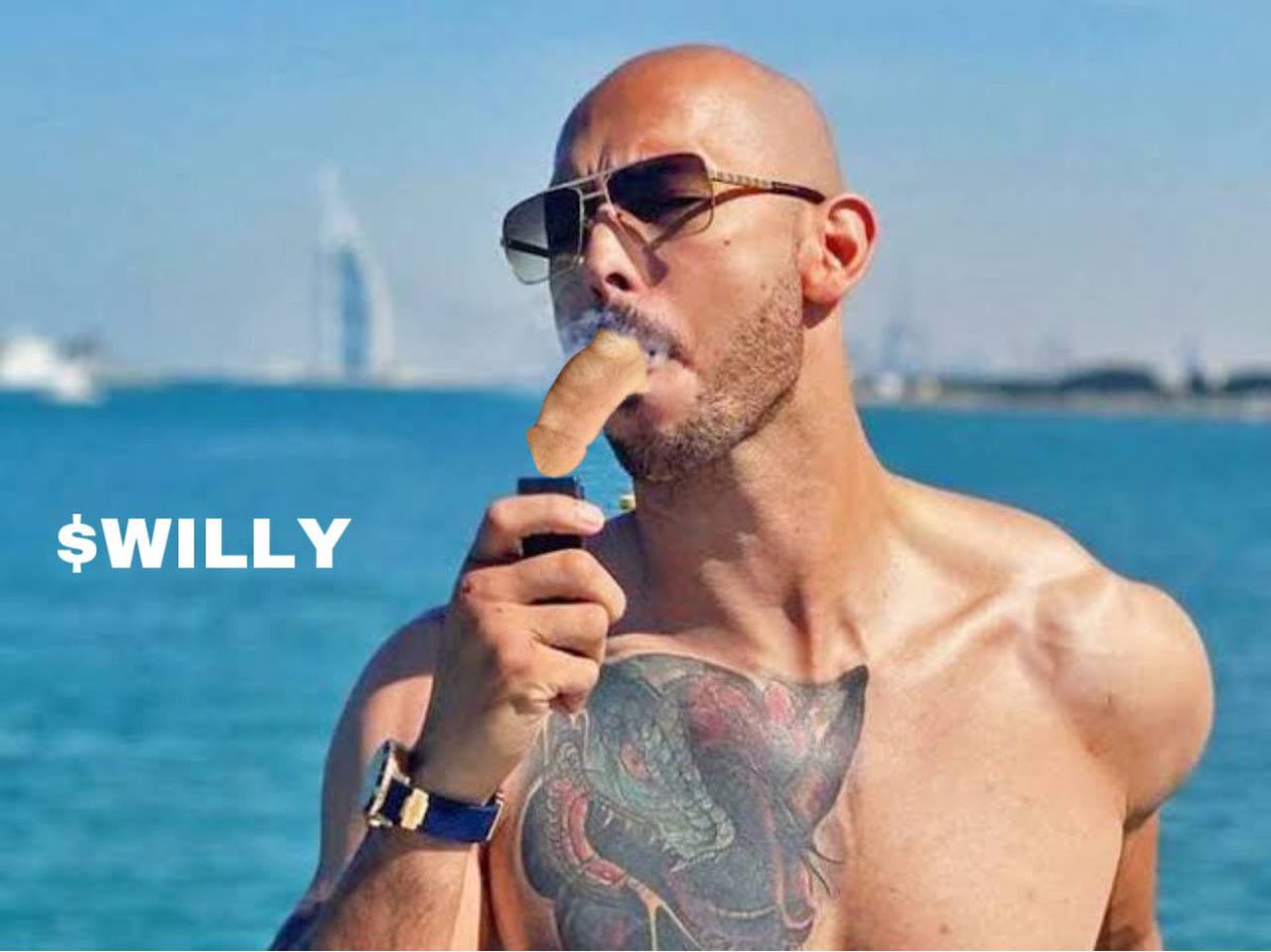 $Willy CTO tweet media