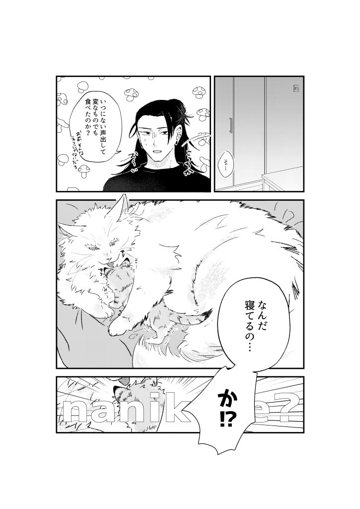 6/30JUNE BRIDE FES 放課後ユートピア
新刊サンプル「MEOW!MEOW!MEOW!」 
全年齢/A5/36p/400円
飼い主🏖️さんちのでっかい白猫5️⃣と子猫🐯のドタバタ本(五悠)です。途中🏖️さんが高熱を出してなんか耳と尻尾が生えた人間(猫)verの話もあります。
サンプル1 
