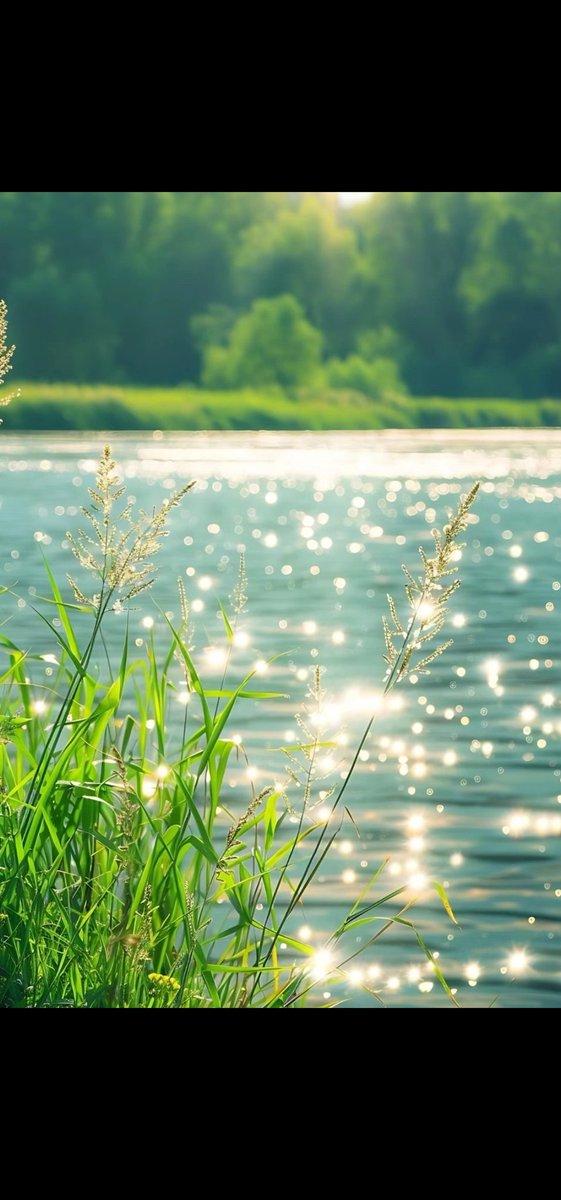 Peaceful Wednesday 🍀 everyone