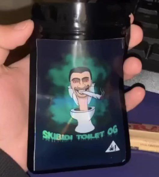 The Temu Skibidi Toilet OG disposable cartridge gave me LONG covid