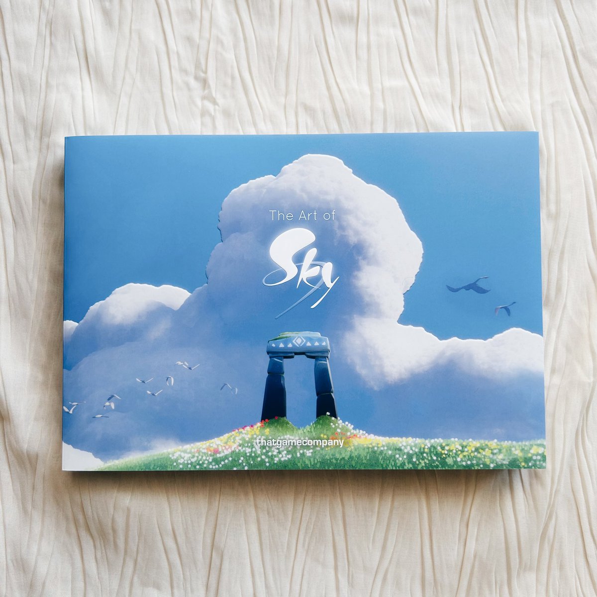 手元に届いたよ🐋

 #thatskygame