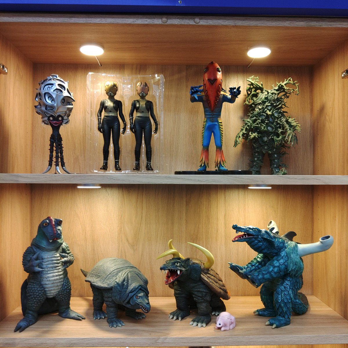 怪しい隣人M (@Mp6Qim8tFx51061) / X 