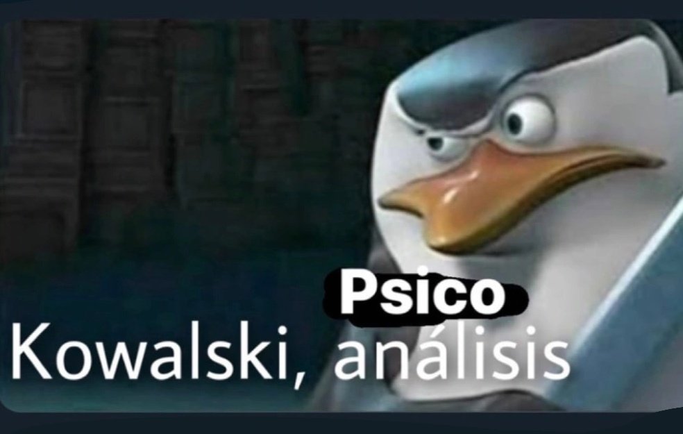 ┐⁠(⁠ ⁠˘⁠_⁠˘⁠)⁠┌☭ tweet media