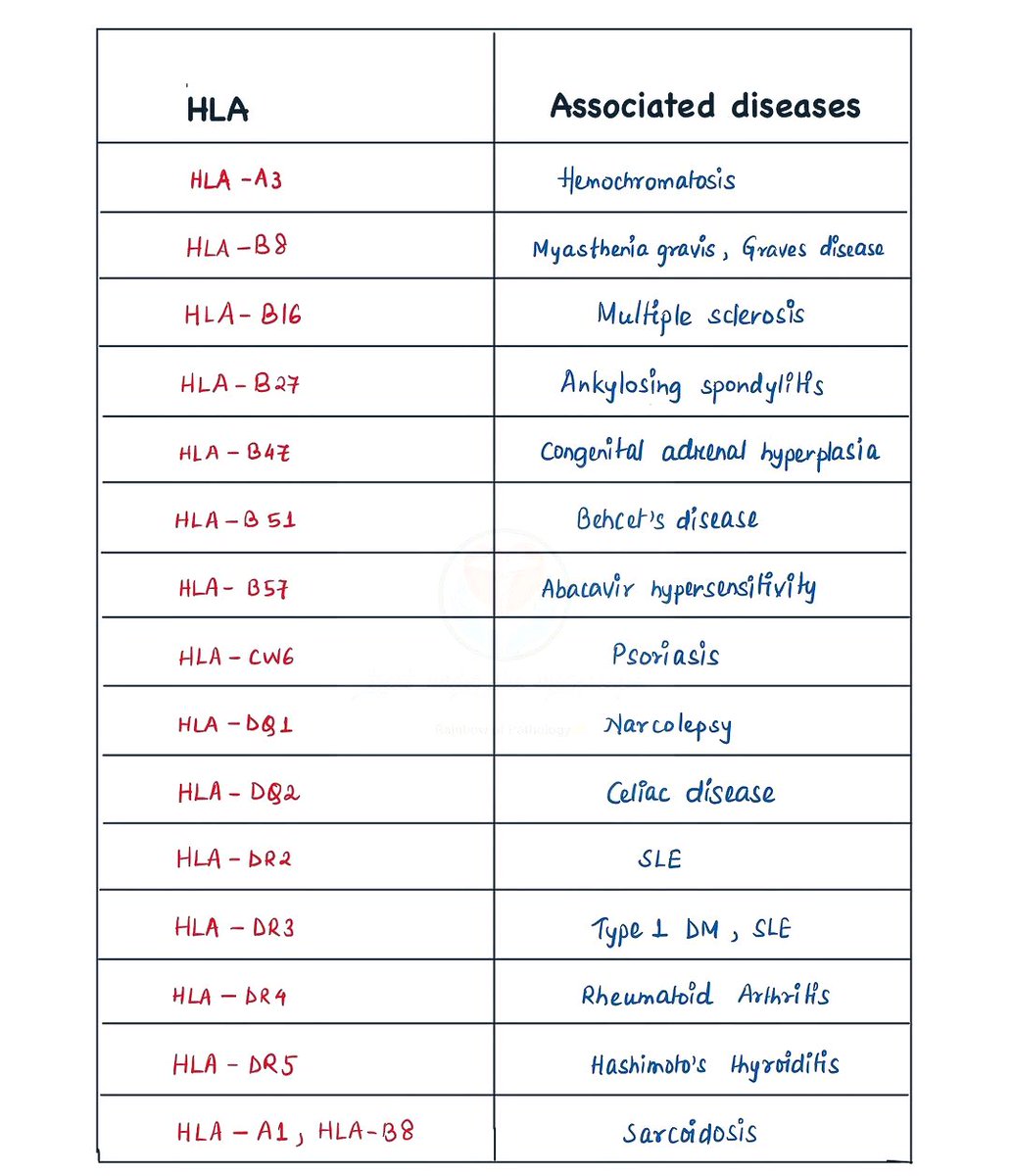 Doctors__squad's tweet photo. HLA &amp; Associated disease 🦠 https://t.co/ZJQlHQK8uf