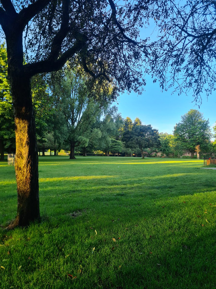 Good Morning 🌞 🌼 🐦 <a href="/DidsburyPark/">Dids Park Volunteers est 2014</a>