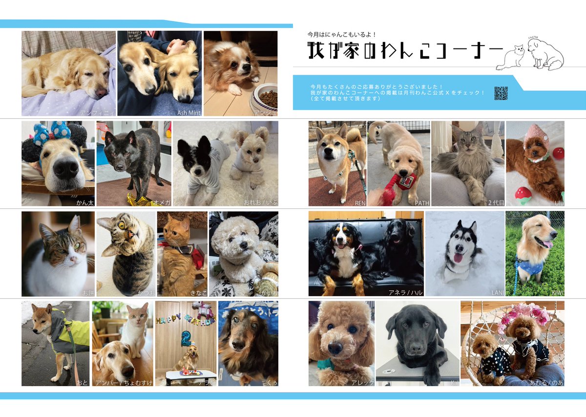 確認ページ♡わんこ＆にゃんこ 我が家のわんこ＆にゃんこコーナー①】こちらの写真は月刊わんこ vol.7