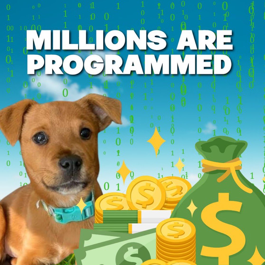 <a href="/SamuraionSolana/">Solana Samurai</a> The real Sendor is here

Buy and Hold $SCOOBY

CA: Ai1RPtcxjx7T2XrUQmcKE6xAe3y29RkLs6WAxCFrpump