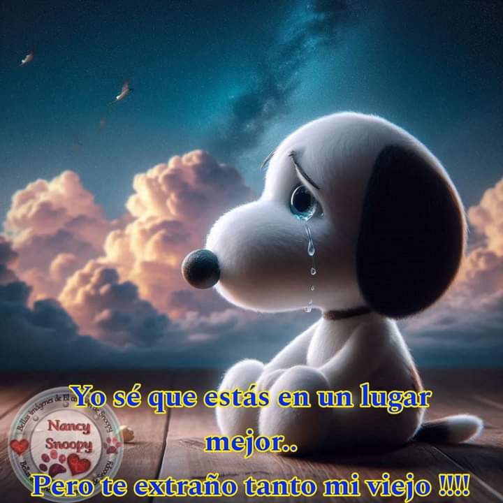 Andy Bernal tweet media