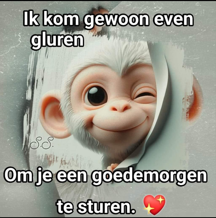 Pensionado Geert-Jan tweet media