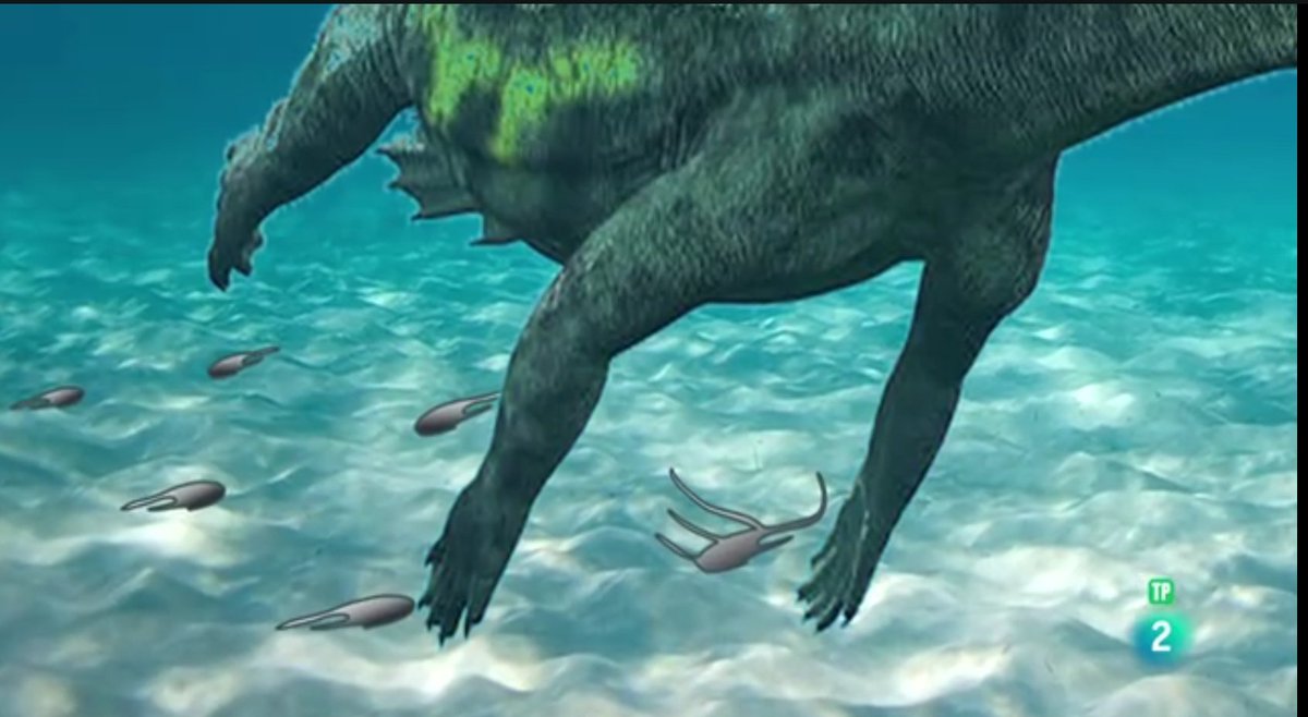 Mely_Berrocal's tweet photo. En el reportaje ”Los Tesoros de Sigüenza" de @La2_TVE  hablamos del #Triásico (#geología, #paleontologia) de la zona, dentro de la candidatura de #Sigüenza (#Guadalajara) y su entorno a #patrimoniomundial #UNESCO, 👀👇
https://t.co/KzAh2ecINt https://t.co/80Y7L7angU