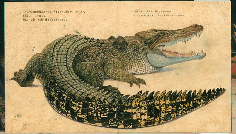 福音館書店 on X